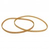 CORREA TRACCION AQUABOT BRAVO (2 UDS)