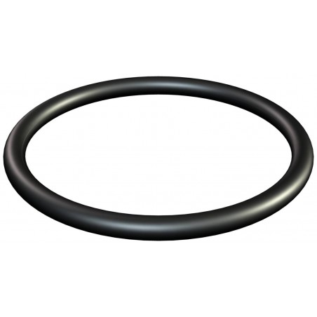 JUNTA ADAPTADOR ESTANQUEIDAD RACOR FILTRO PRO GRID REF. SX0244DE1 HAYWARD