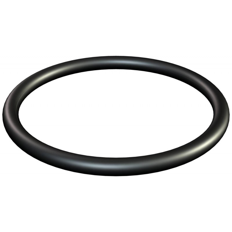 JUNTA TORICA RACORD UNION FILTRO PRO GRID REF. SX0220Z2 HAYWARD