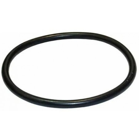 JUNTA VALVULA FILTRO COMPACTO 300 COD. 9103300 PQS/REF. 65431041080 - RM30003 QP