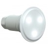 LAMPARA LED LUMIPLUS FLEXI MINI 3,5W 450 LUMENES COD. 74400 ASTRALPOOL