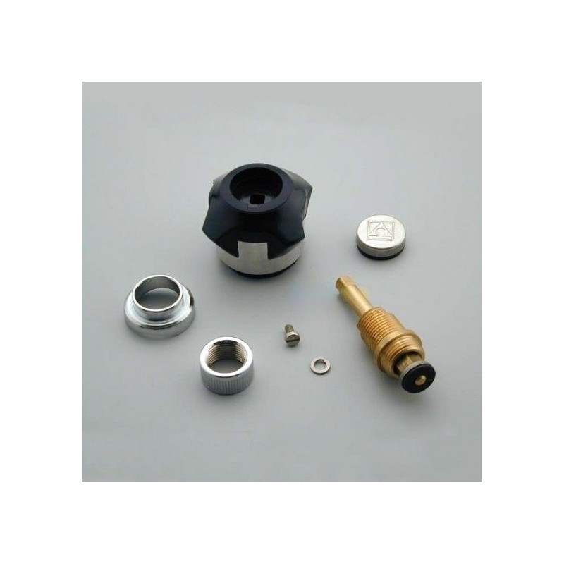 POMO PLASTICO+EJE DUCHA CON ADAPTADOR REF. 4401040602 ASTRALPOOL