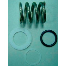 MUELLE RESORTE VALVULA 1 1/2" FLAT CON ARANDELAS Y JUNTA COD. 4404122404 ASTRALPOOL