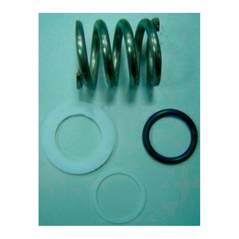 MUELLE RESORTE VALVULA 1 1/2" FLAT CON ARANDELAS Y JUNTA COD. 4404122404 ASTRALPOOL