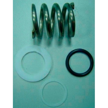 MUELLE RESORTE VALVULA 1 1/2" FLAT CON ARANDELAS Y JUNTA COD. 4404122404 ASTRALPOOL