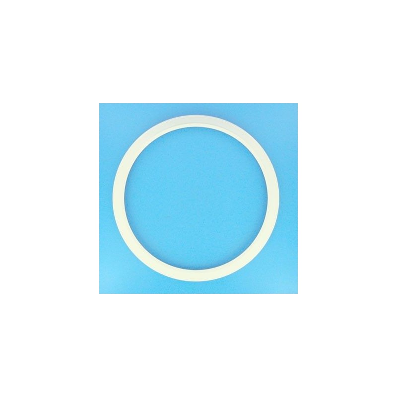 ARO PROTECTOR FOCO LINER HAYWARD REF. SPX0507A2