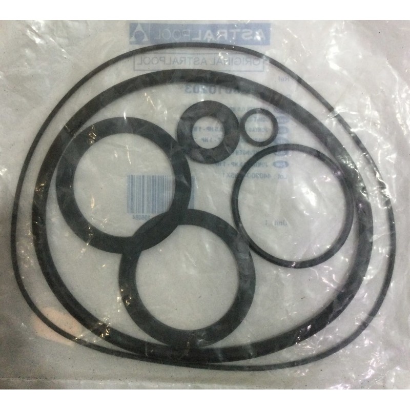 JUEGO JUNTAS BOMBA VICTORIA PLUS/SPRINT PUMP REF. 4405010203 ASTRALPOOL