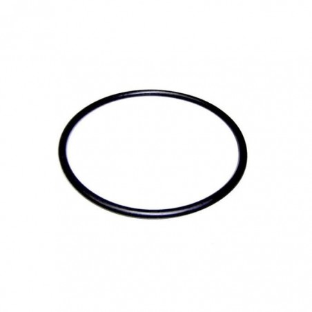 JUNTA TAPA PREFILTRO BOMBA VICTORIA PLUS REF. 4405010178 ASTRALPOOL