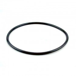JUNTA TAPA FILTRO BOBINADO BERLIN REF. 4404070101 ASTRALPOOL