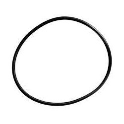 JUNTA TAPA FILTROS CANTABRIC/MILLENIUM ROSCA/ACERO INOX. REF. 4404180201 ASTRALPOOL
