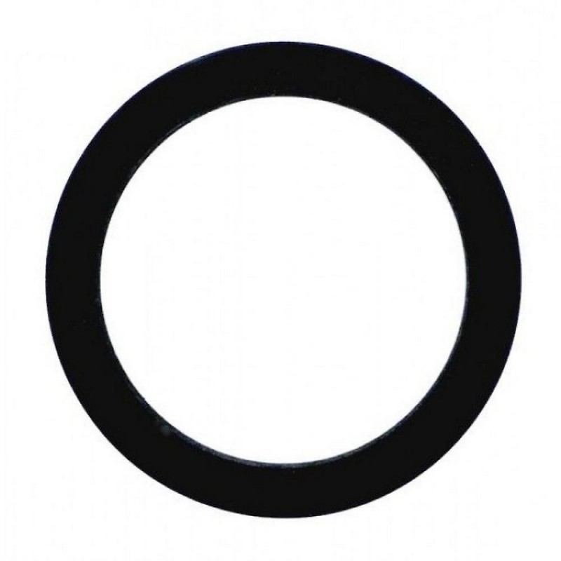 JUNTA PLANA UNION VALVULA-FILTRO REF. 00611R0001 ASTRALPOOL