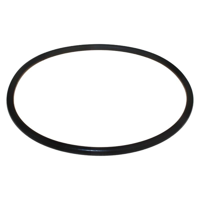 JUNTA TAPA DOSIFICADOR CL-BR 4 KG ASTRAL REF. 4408010702