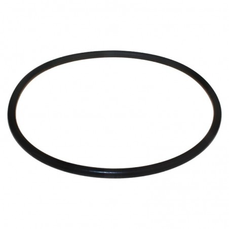 JUNTA TAPA DOSIFICADOR CL-BR 4 KG ASTRAL REF. 4408010702